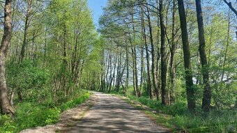 Działka rolno-budowlana, woj. lubelskie - 10