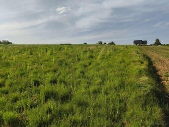 Lipnica Dolna-malownicze miejsce z potencjałem inwestycyjnym - 10