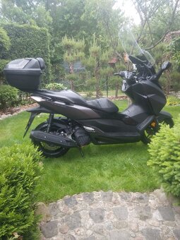 Honda forza 125 ładna - 10