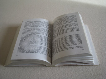 Templariusze Tajemni strażnicy tożsamości Chrystusa, Picknet - 10