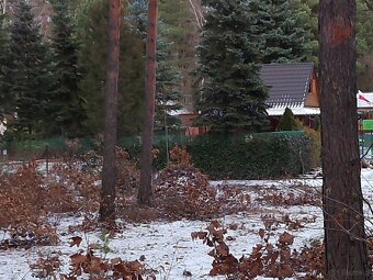 Leśno-budowlana - 10