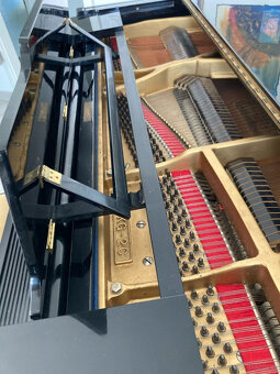 Kawai Flügel KG-2C - 10