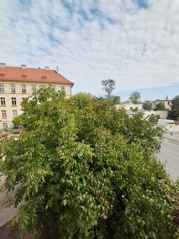 Kawalerka w centrum Kalisza | 23,68 m² | Piwnica,parking - 10