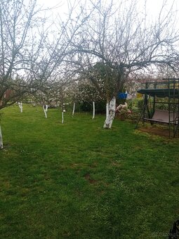 Sprzedam prawo do użytkowania działki ROD - 10