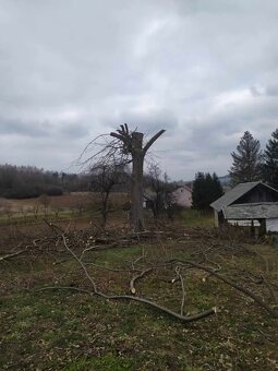 Opróżnianie mieszkań, Wywóz śmieci, złomu, itp. - 10