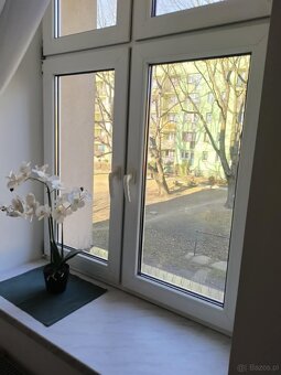 Mieszkanie z niskim czynszem - 3 pokoje - 10