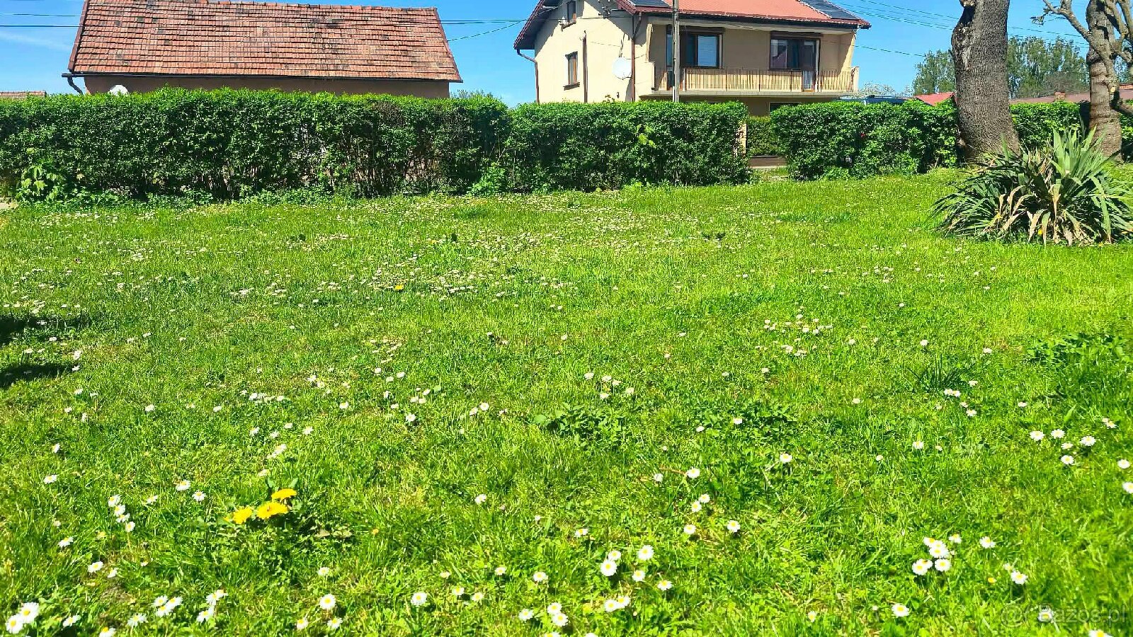 Mieszkanie z ogródkiem - 11