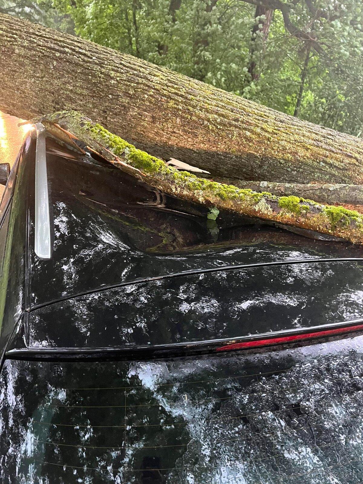 Seat leon 2.0tdi - 11