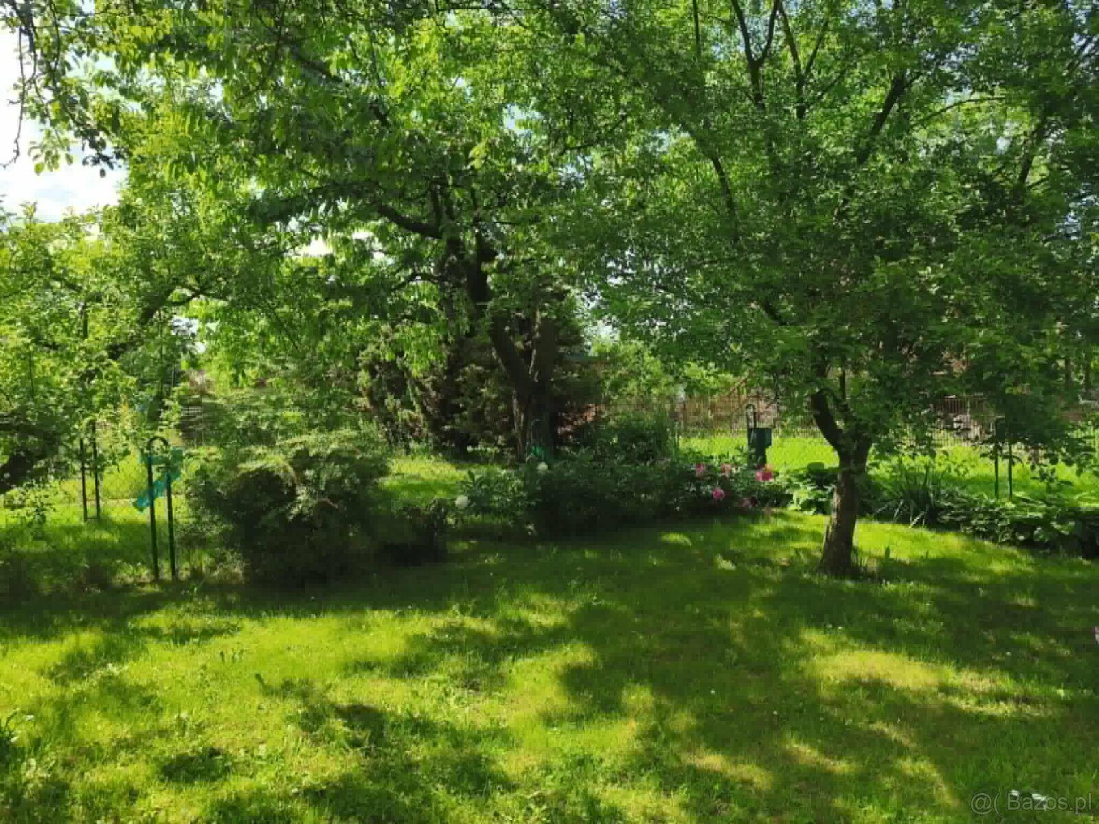 ROD "Strumyk" Tarnów - 11