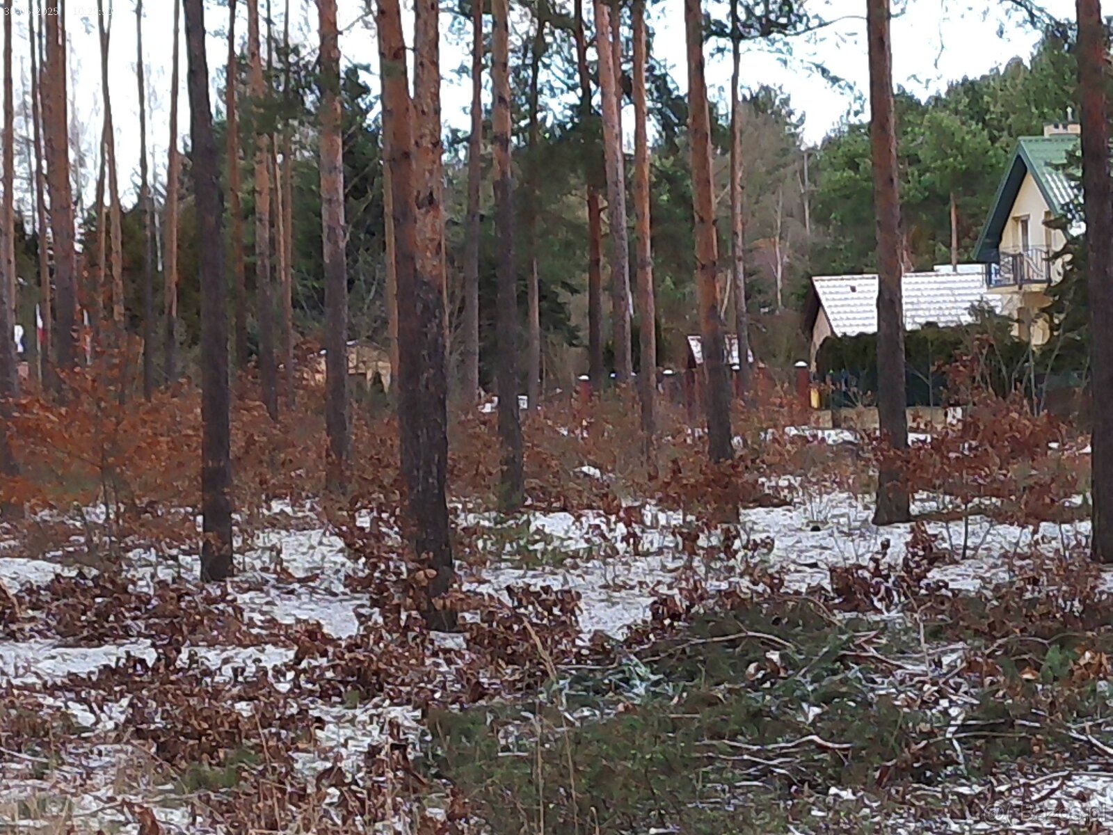 Leśno-budowlana - 11