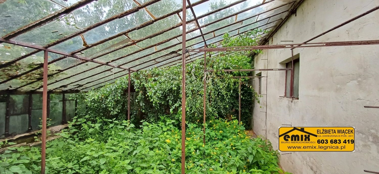 Działka z możliwością rozbudowy domu - 5 km od Chojnowa - 11