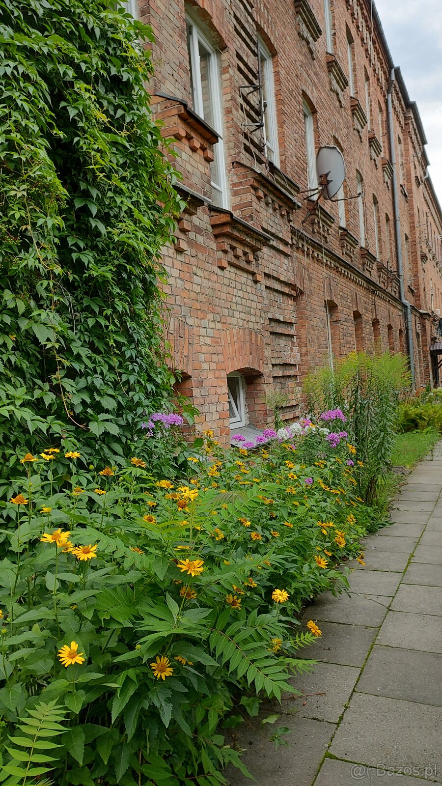 Klimatyczne mieszkanie 66,5m2 - 11