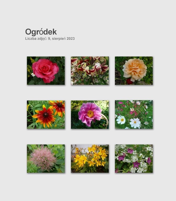 Dom wśród zieleni przy lesie - 11