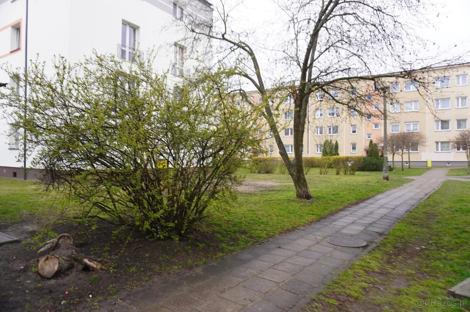 Udział 1/2 w mieszkaniu przy ul. Kasprzyckiego 5 - 11