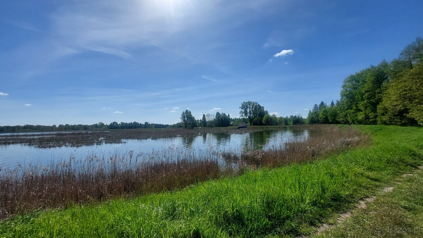 Działka rolno-budowlana, woj. lubelskie - 11