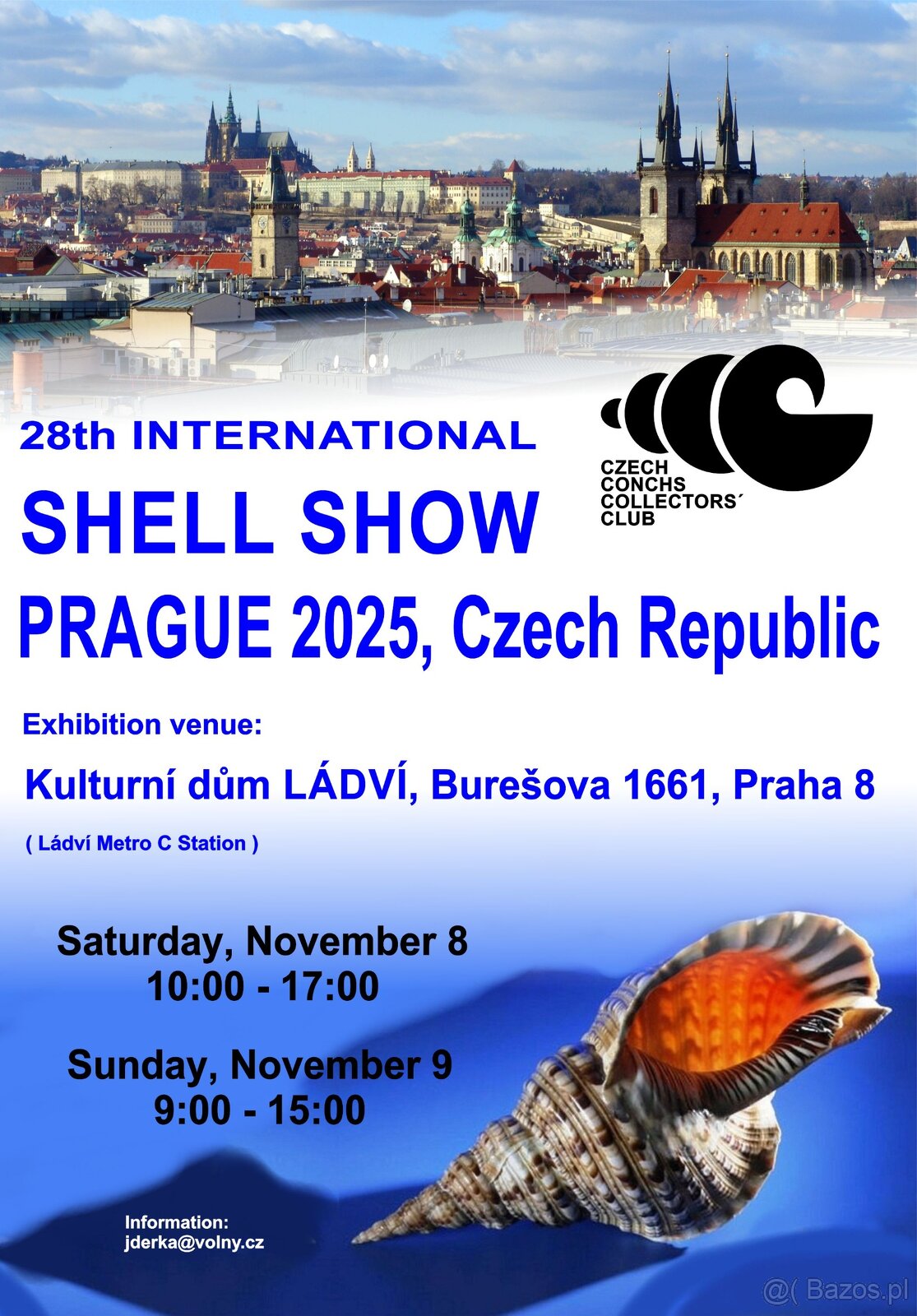 Muszle dla kolekcjonerów i czarne perły z Tahiti - 11