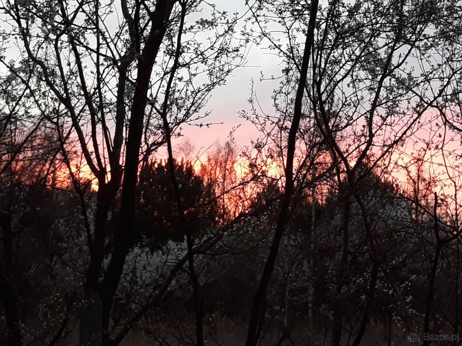 Atrakcyjna działka z dostępem do mediów (światłowód) w drodz - 11