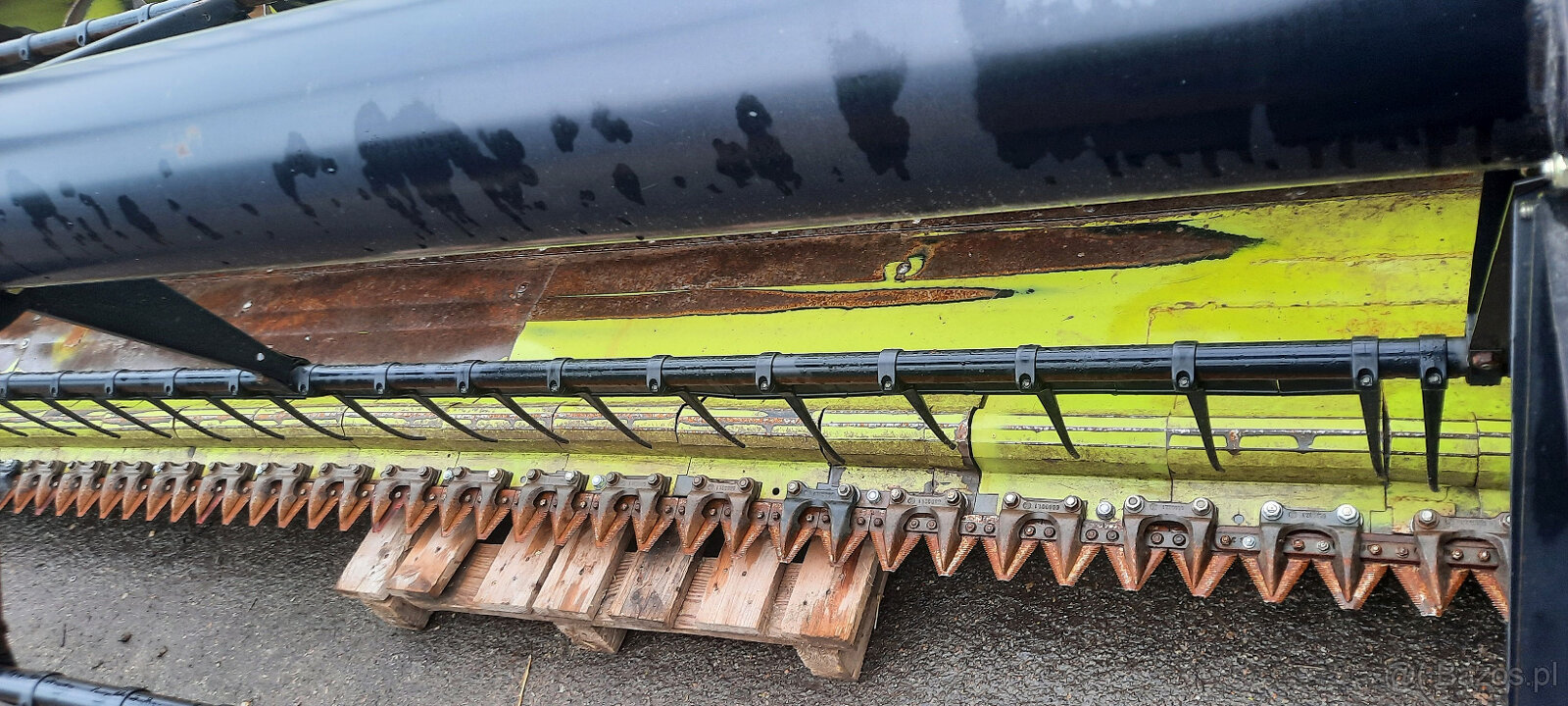 Flexibilny heder Claas Soja Flex S900 - 11