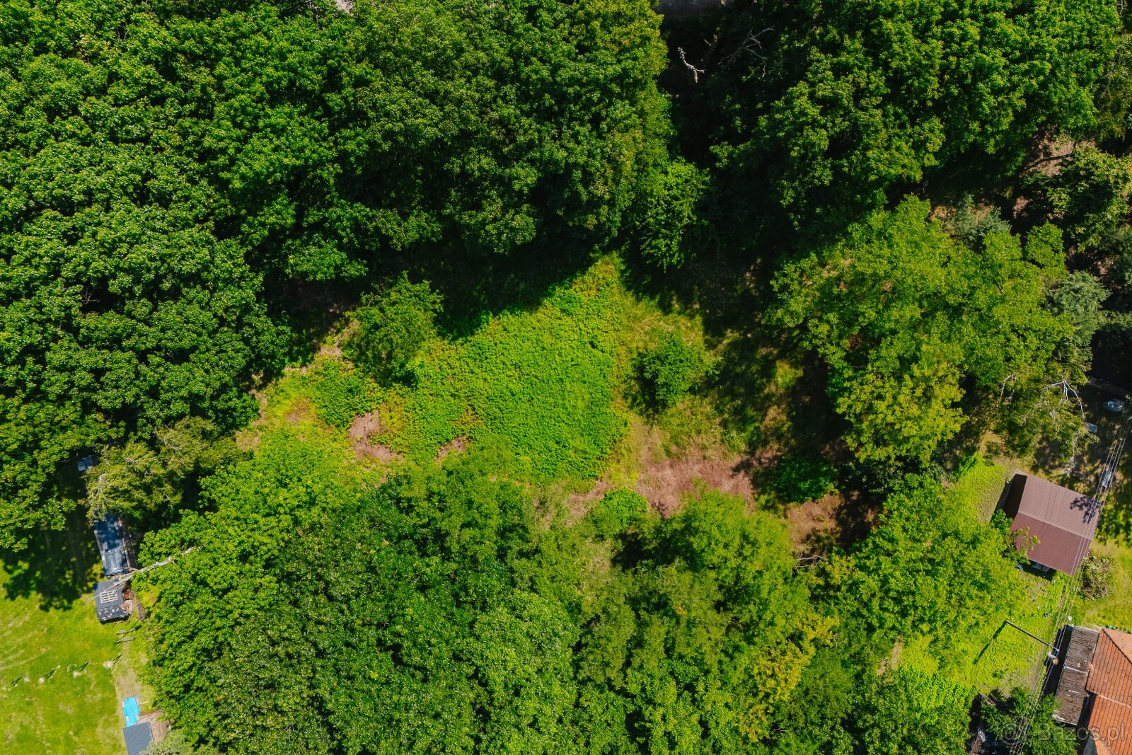 Działka pod inwestycję mieszkaniową, Zajączków - 11