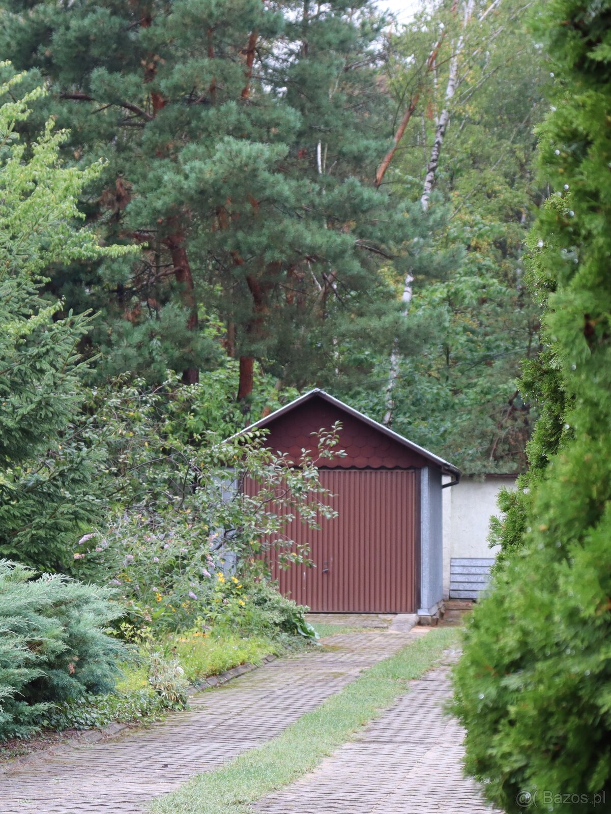 Dom wśród zieleni przy lesie - 11