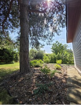 ROD "Słonecznik" Tarnów ul. Ostrogskich - 11