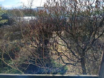 Dom w Andrychowie piękny ogród blisko centrum sprzedam - 11