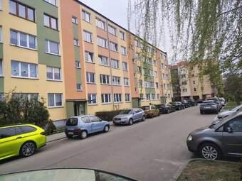 Mieszkanie o powierzchni 24m2, parter, po remoncie, Kalisz - 11