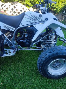 Yamaha Blaster 200 2T - 11