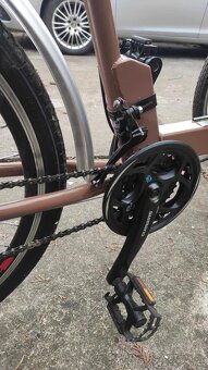 riksza rowerowa - 11