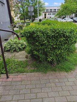 Kawalerka w Otoczeniu Zieleni - 11