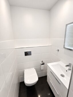 Dom piętrowy, wolnostojący 320m2, działka 466m2, os. Winiary - 11
