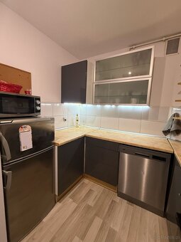 2 pokoje parter Poznań Grunwald - 11