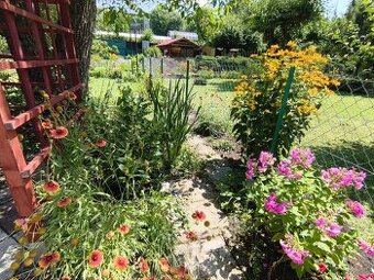 Urokliwa działka ROD "Kopernik" - 11