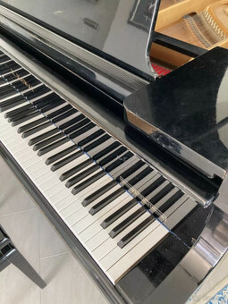 Kawai Flügel KG-2C - 11