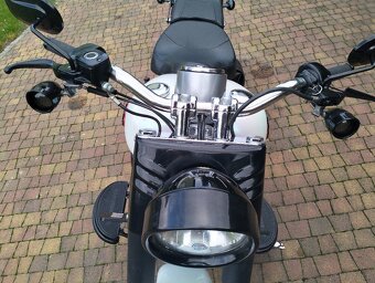 FAT Bob - 11