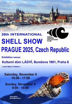 Muszle dla kolekcjonerów i czarne perły z Tahiti - 11