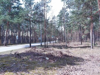 Leśno-budowlana - 11