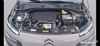 Cactus Sprawdz go w  warsztacie na godziny tel. 519 853 348 - 11