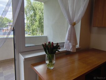 Duże, funkcjonalne, bezczynszowe mieszkanie z ogródkiem - 11
