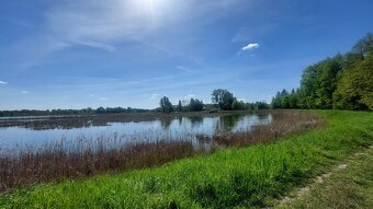 Działka rolno-budowlana, woj. lubelskie - 11
