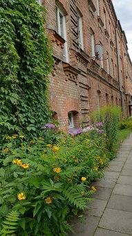 Klimatyczne mieszkanie 66,5m2 - 11