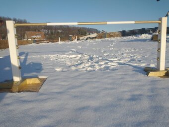 Przeszkoda HOBBY HORSE - 11