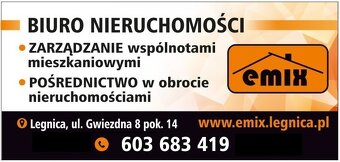 Kawalerka w Legnicy - do wynajęcia - 37m2 - 11