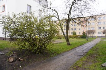 Udział 1/2 w mieszkaniu przy ul. Kasprzyckiego 5 - 11