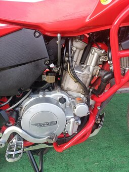 SWM 600 Super Dual X - 11