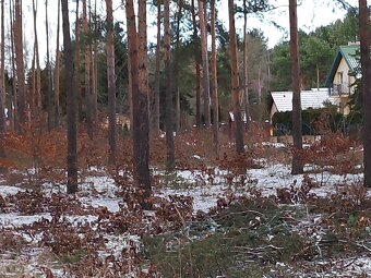 Leśno-budowlana - 11