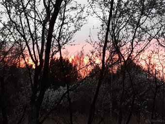 Atrakcyjna działka z dostępem do mediów (światłowód) w drodz - 11