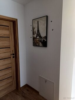 Dom na wynajem z ogrodkiem - 11