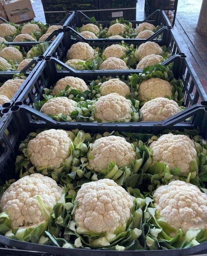 Import owoców i warzyw - 12