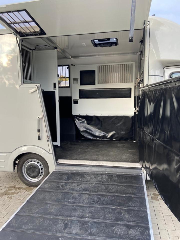 Renault Master – Transporter koni 1–2 konie | 2024 - 12